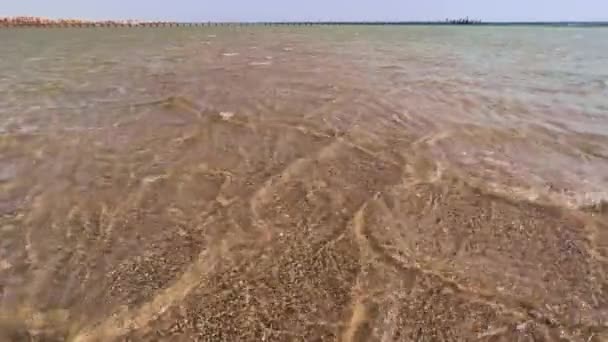 迷人的红海水下世界在埃及的快速潮流 高质量的4K镜头 感受埃及红海的能量 因为强流在其浅水和清澈的海水中穿行 — 图库视频影像