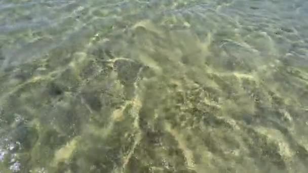 Förtrollande Röda Havet Undervattensvärld Med Snabba Strömmar Egypten Högkvalitativ Film — Stockvideo