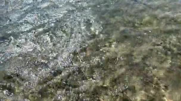 Energetische Seichte Gewässer Roten Meer Strömungen Ägypten Enthüllt Hochwertiges Filmmaterial — Stockvideo