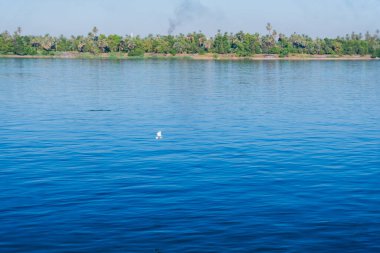 Doğanın zarafetini, gün doğumunda Nil Nehri üzerinde zarif bir şekilde uçan kuşların bu görüntüsüyle kucaklayın. Nil 'in sularının hafif dalgaları ve yumuşak sabah ışığı bu kanatlı yaratıklar için sakin bir zemin oluşturur. Taşımak için mükemmel.