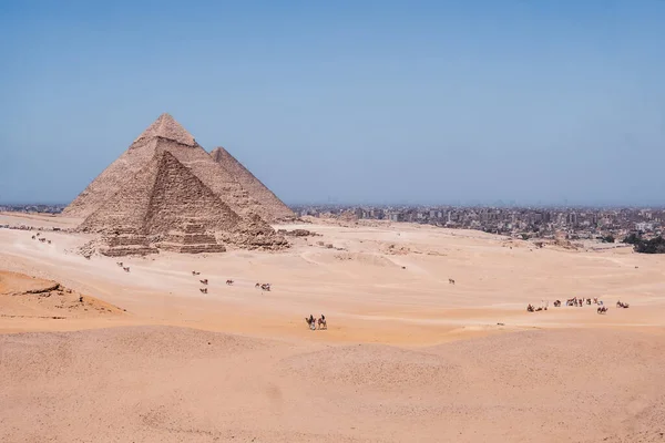 Опыт Летом Очарование Египта Через Увлекательные Изображения Пирамид Сфинкс Живописный — стоковое фото