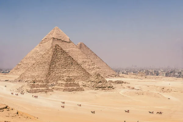 Відчуйте Літній Приплив Єгипту Через Захоплюючі Зображення Пірамід Сфінкса Мальовничий — стокове фото