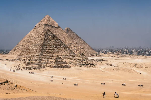Experimente Encanto Veraniego Egipto Través Imágenes Cautivadoras Las Pirámides Esfinge —  Fotos de Stock
