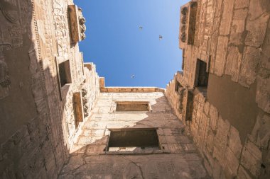 Büyüleyici Luxor Tapınağı 'nı keşfedin. Mısırlıların ebedi mirasına bir vasiyet. Bu fotoğraf tapınakların muhteşem mimarisini sergiliyor, alacakaranlıkta aydınlatılıyor, sıcak, altın bir parıltı yayıyor.