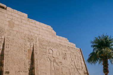 Büyüleyici Luxor Tapınağı 'nı keşfedin. Mısırlıların ebedi mirasına bir vasiyet. Bu fotoğraf tapınakların muhteşem mimarisini sergiliyor, alacakaranlıkta aydınlatılıyor, sıcak, altın bir parıltı yayıyor.