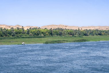 Seyyar geminizin güvertesinden Nil Nehri 'nin pitoresk kıyı şeridine bakın, gür ve büyüleyici bir ormanın sakin sularla buluştuğu yere. Bu büyüleyici fotoğraf huzuru yakalar.