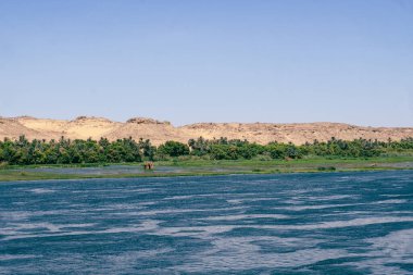 Mısır Gizli Mücevheri: Nil Gezisinden Orman Görüntüleri. Yüksek kalite fotoğraf. Lüks bir Nil Nehri gezisinden gelen bu büyüleyici orman manzarasıyla Mısır 'a doğru bir yolculuğa çıkın. Görülmesi gereken bir şey