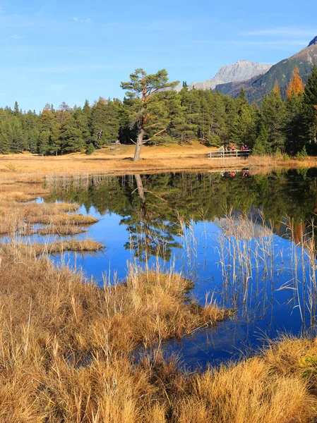 Zwitserse Alpen Berg Wetland Lai Nair Zwarte Meer Met Reflectie — Stockfoto