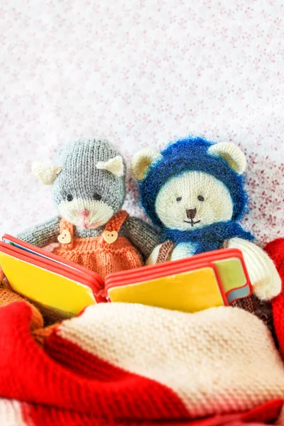 Self knitted kitty cat and teddy bear are reading a book on sofa with a wool blancket