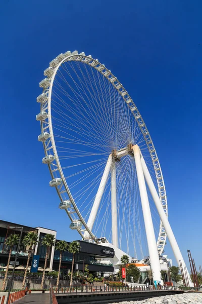 阿拉伯联合酋长国迪拜 2月24日 2023年 迪拜眼 Dubai Eye 或Al Ain Ain 蓝水岛上的一个巨大轮子 图库图片