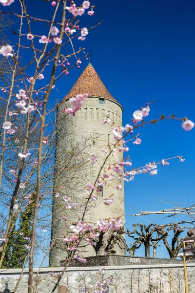 罗蒙的Boyer塔建于13世纪 是一个防御系统 瑞士弗里堡州 — 图库照片