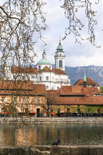 Vista Ribeirinha Histórica Cidade Suíça Solothurn Com Seu Marco Catedral — Fotografia de Stock