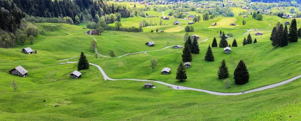 Panorama Zemědělské Pastviny Starými Dřevěnými Stodolami Křivolakou Stezkou Grindelwaldu Bern — Stock fotografie