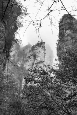 Çin 'deki Zhangjiajie Milli Parkı' ndaki sisli dağ kayalarının siyah beyaz görüntüsü. 