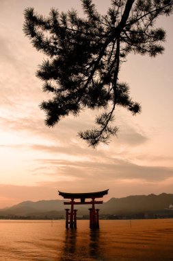Japon geleneksel kırmızı Torii kapı tapınağı Miyajima Adası, gün batımında Itsukushima nehrinde duruyor.