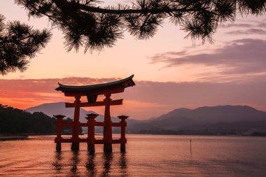 Japon geleneksel kırmızı Torii kapı tapınağı Miyajima Adası, gün batımında Itsukushima nehrinde duruyor.