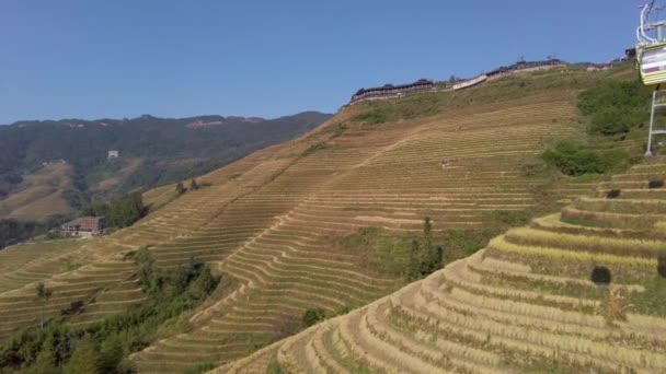 Landscape Long Rice Terrace Dragon Bone Terrace Autumn Season Farmers — Stock Video