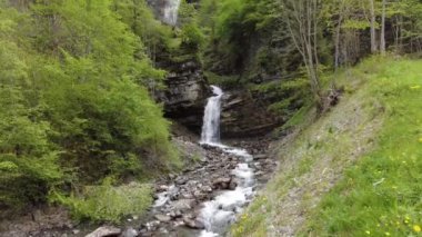 Gurnigelpass, İsviçre - 14 Nisan. 2024: Alplerdeki yabani kır çiçekleri Gurnigel 'i geçer, Gantrisch ve Nueenen' de dağ zirveleri vardır.