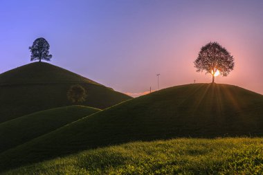 Drumlin landscape with three single trees on the hill top with down sun burst against colorful sky clipart