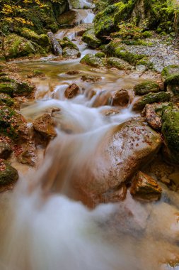 Cascade waterfalls in the Twann Gorge in Canton Bern at the Biel lakesite, Switzerland clipart