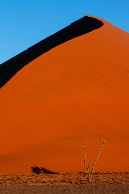 One of the oldest sand dune (Sund dune 44) show vivid color contrast and curve at sunset, Namibia clipart