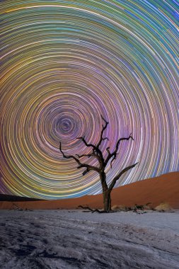 Namibia dead tree in desert with colorful star trails