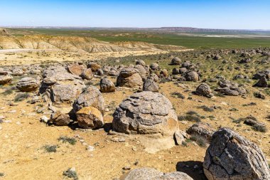 Torysh Vadisi, Mangystau, Batı Kazakistan 'da taş toplar. Milyonlarca yıl önce deniz cisimlerinin mineral somutlaşması.