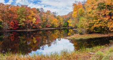 Sonbahar yapraklarının panoramik görüntüsü New Jersey 'deki Allaire State Park' taki gölete yansıyor..