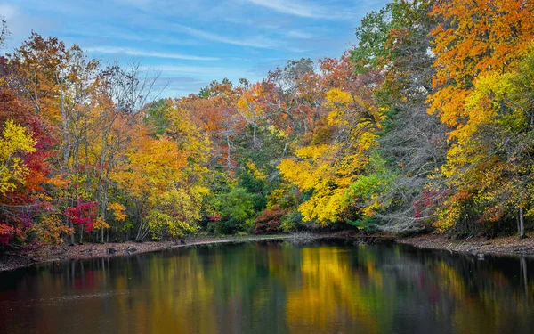 Цьому Ставку Парку Штату Аллер Штат Нью Джерсі Відкривається Водоспад — стокове фото