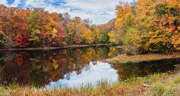 Uma Vista Panorâmica Das Folhas Outono Refletindo Sobre Lagoa Allaire — Fotografia de Stock
