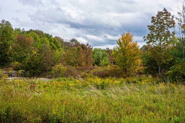 Early Autumn View Woodland Field Catskill Mountain Region New York — Stock Photo, Image