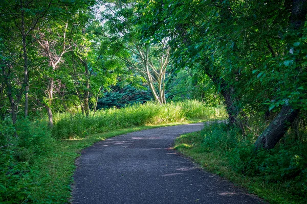 Summer View Henry Hudson Trail Monmouth County New Jersey — Stock Photo, Image