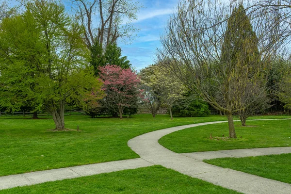 Eine Frühlingshafte Ansicht Des Great Oak Park East Brunswick New — Stockfoto