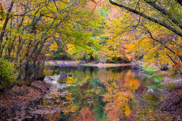 Reflexões Coloridas Outono Sobre Esta Lagoa Allaire State Park Nova — Fotografia de Stock