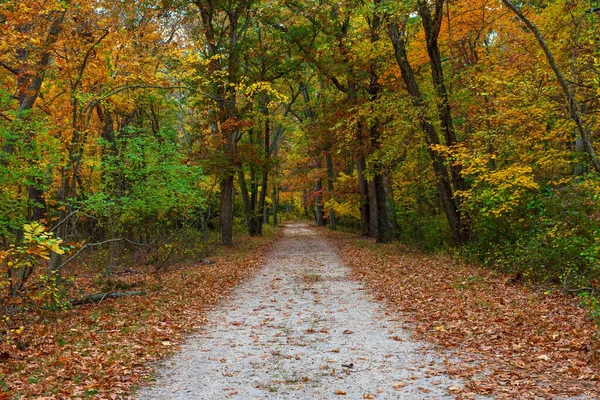ニュージャージー州アラレ州立公園の秋の森を通るハイキングコース — ストック写真
