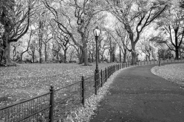 Podzimní Pohled Pěší Stezku Central Parku Manhattanu — Stock fotografie