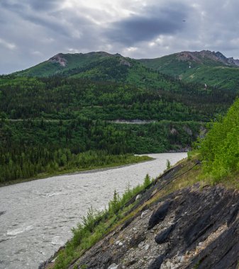 Alaska 'da Denali Milli Parkı 'nda Nenana Nehri 'nin güzel manzarası.