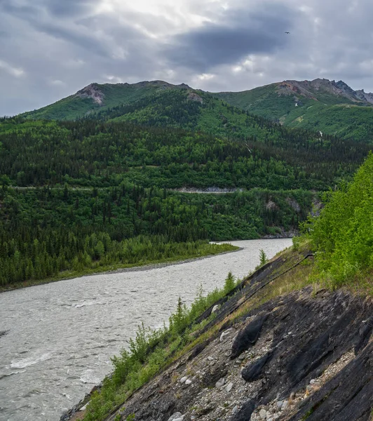 Ein Malerischer Blick Auf Den Nenana Fluss Denali Nationalpark Alaska — Stockfoto