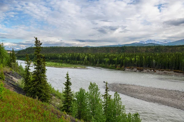 Scenic View Nenana River Denali National Park Alaska — Stock Photo, Image