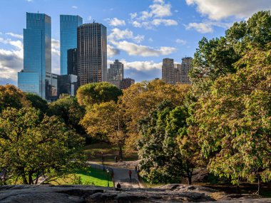 Modern office buildings tower over the Autumn leaves in Central Park in New York City.