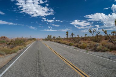 Bir yol aracılığıyla Güney Kaliforniya'da Joshua Tree National Park.