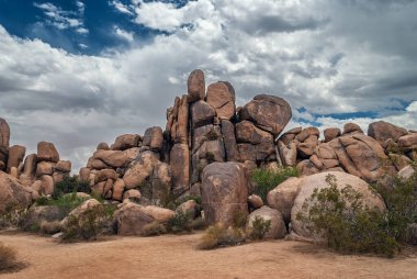 A rock formation in Joshua Tree National Park in Southern California.