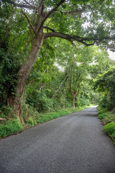 Una Strada Attraverso Susquehanna State Park Nel Maryland — Foto Stock