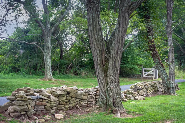 Rural Scene Stone Wall Susquehanna State Park Havre Grace Maryland — Stock Photo, Image
