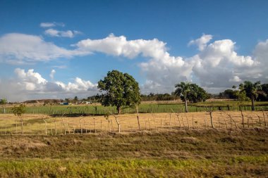 Dominik Cumhuriyeti 'nin kırsal kesiminde yol kenarında..