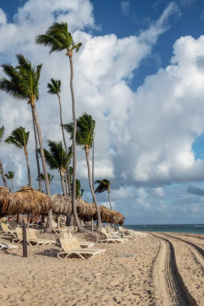 Punta Cana Sahilinde Palmiye Ağaçları Kulübeleri Şezlongları Olan Taze Kumlar — Stok fotoğraf