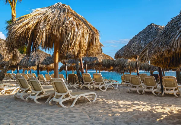 Plenty Beach Lounge Chairs Available Early Morning Punta Cana Dominican — Stock Photo, Image