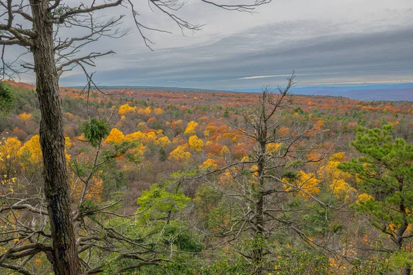 乌尔斯特县明纽瓦斯卡州立公园变幻的色彩笼罩着秋天的天空 — 图库照片