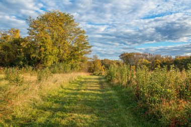 Millstone New Jersey 'deki Perrineville Gölü Parkı' nın çim yolu girişi..