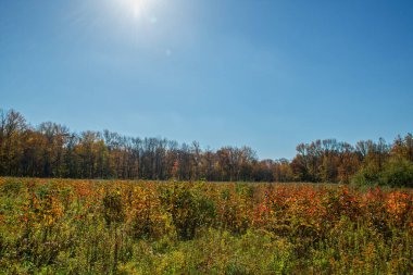 Güneş Millstone New Jersey 'deki Perrineville Gölü Parkı' ndaki bu renkli Autun çayırında parlıyor..